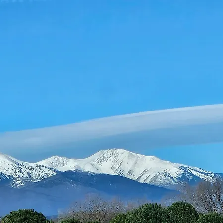 Lejlighed Rosa Centre